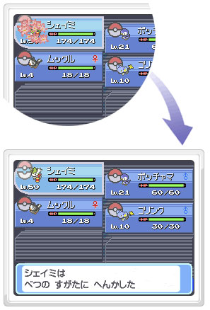 [shaymin_cambio_forma[1].jpg]